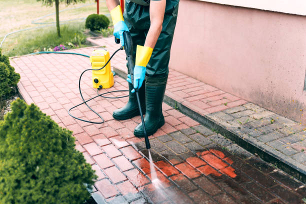 Best Exterior Home Cleaning  in Jackson, AL