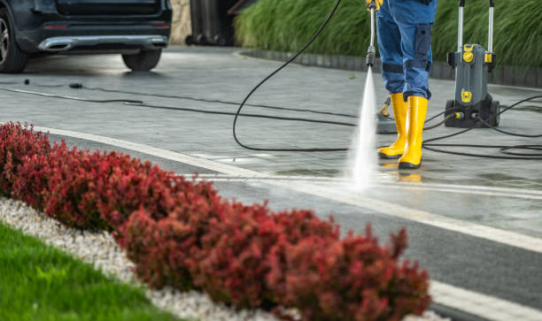 Best Deck Pressure Washing  in Jackson, AL