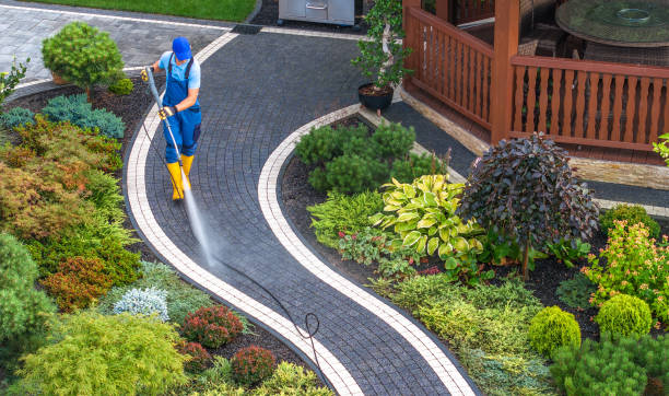 Best Commercial Building Pressure Washing  in Jackson, AL